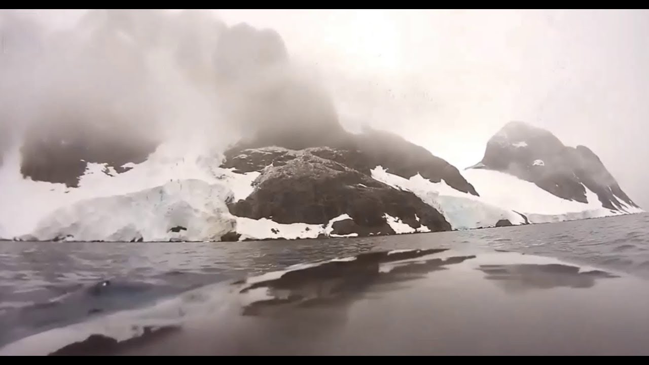 Seht her Japan! Forschung geht auch ohne Töten! Kamera an Zwergwal:Spezielle Bilder
