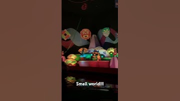 Thumbnail of Small World Disney World Song gets stuck in my head #disneyworldvacation #magickingdom