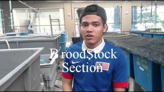 EAC K11  Documentary of Aquatrop