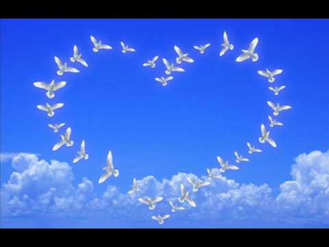 Щастя голуби Віталій Мірошниченко