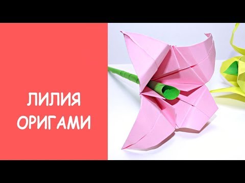 Оригами цветы лилии из бумаги по шаговой инструкции