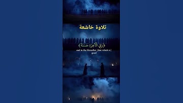 تلاوة هادئة مريحة للقلب