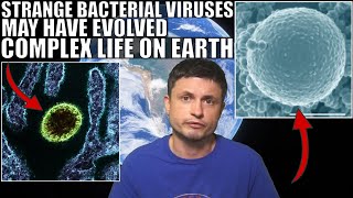 Strange Asgard Bacteria Viruses Helped Complex Life Evolve on Earth