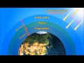 Ozone Layer and UV Protection
