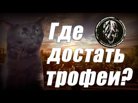 Видео: Как фармить трофеи | Dying Light 2