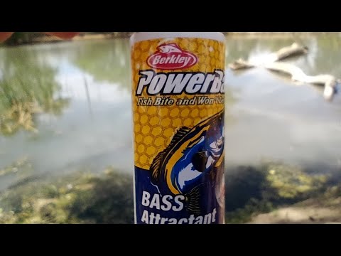 Does BERKLEY POWERBAIT Bass ATTRACTANT Work? How