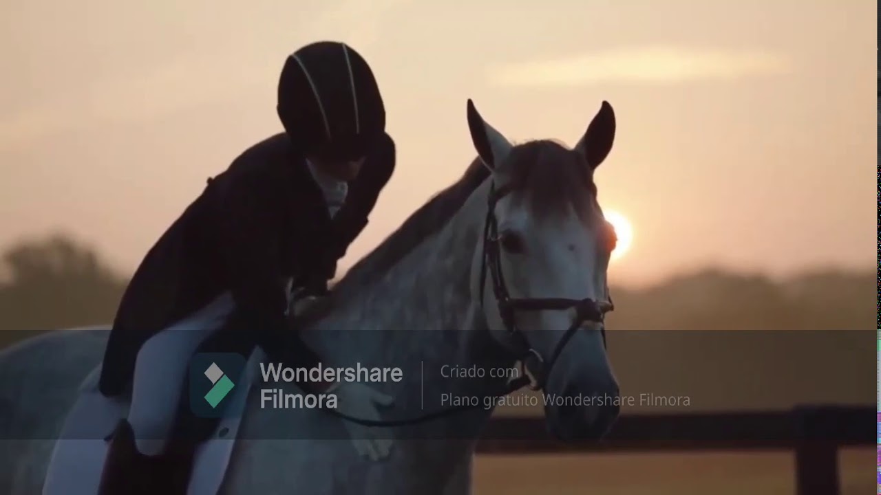 Confident - Horse Music Video