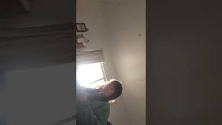 Curiosa by Alai Landa ukulele cover