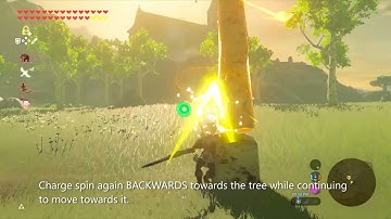 EASY Tree Launching Guide - Zelda BOTW