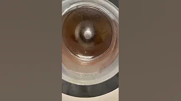 Bosch Final Spin 1200rpm 