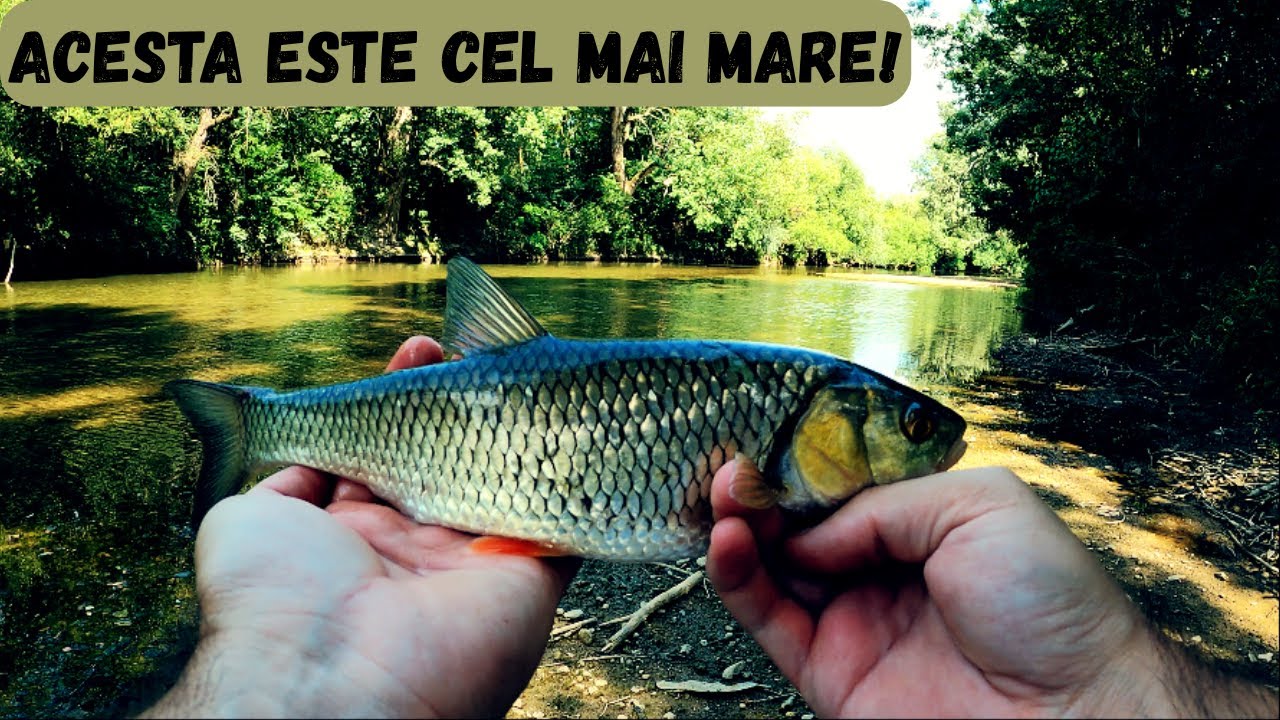 Am gasit locuri superbe de pescuit la Clean!