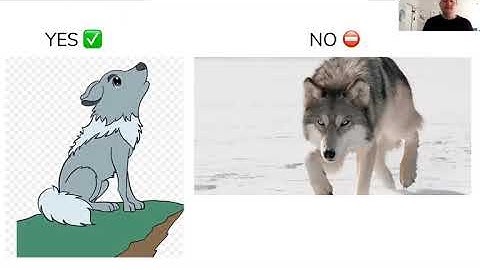 Deliverable #1 Video