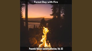 Celestial Firelight