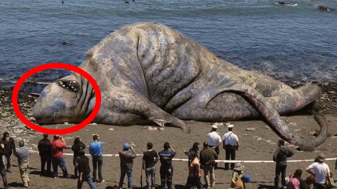 Scariest Looking Animals On Earth