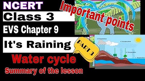 NCERT Class 3 EVS Chapter 9 - Its raining || Part 3 || summary of the lesson