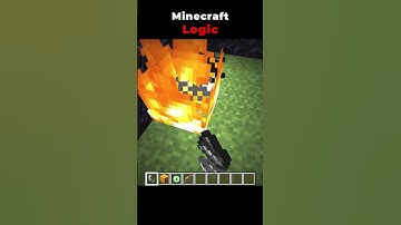 Minecraft Logic be like 💀 #shorts