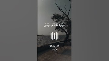 قالا ربنا إننا نخاف🪻بصوت القارئ شريف مصطفى 🎙️💫