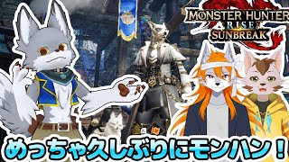めっちゃ久しぶりにモンハンやる！【モンスターハンターライズ】