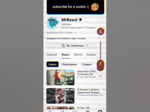 ГДЗ топ - YouTube