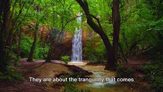 Where to Find Hidden Waterfalls in the US: Discover Nature's Secrets