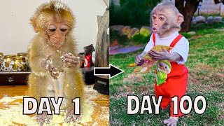 The amazing development process of monkey YiYi