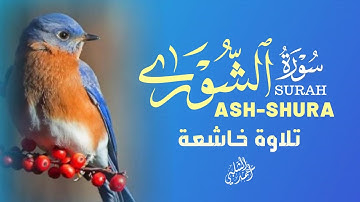 سورة الشورى كاملة خشوع وسكينة القارئ أحمد الشلبي|ASHSHURA