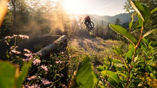 Local Flavours - Complete Riding Guide To Fernie BC By Pinkbike