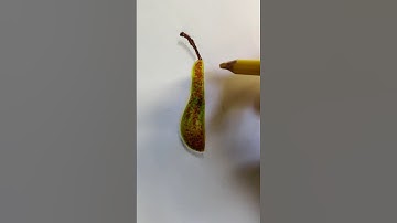 Draw a Pear #art #drawing #shorts #pear #illusion #pencildrawing #howtodraw #easydraw