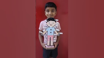 Human body model project/ #shorts #bodyparts #humanbody #humanbodymodel