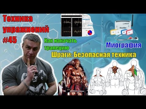 Как накачать трапециевидную мышцу. Шраги. Безопасная техника. Миография. Техника 45