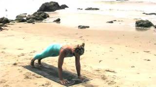 Vinyasa Flow: Core Cultivation & Abdominal Strengthening