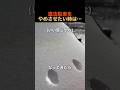 違法駐車された時に使える裏技