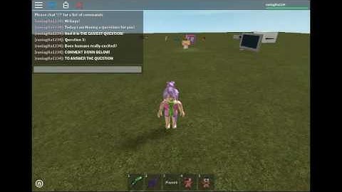 ROBLOX - The Easiest Question (COMMENT DOWN BELOW TO ANSWER)