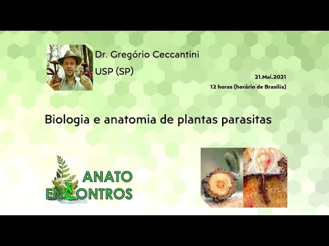 Vídeo: Informações sobre Landrace em plantas: o que torna as plantas Landrace especiais