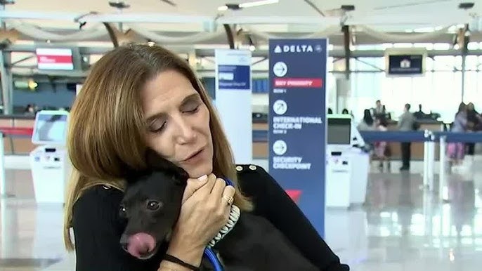 Delta Airlines looking for dog lost at Atlanta airport in August