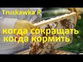 #Пчёлы осенью. Нюансы  сокращения семей и закормки пчёл на пасеке. С чем это связано Зачем сокращать