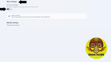 How to Disable Search Highlights on Windows 11