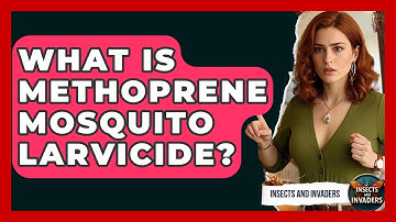 What Is Methoprene Mosquito Larvicide? - Insects and Invaders