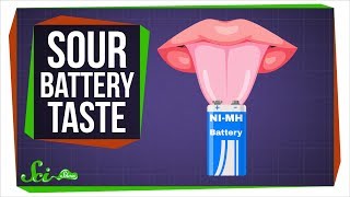 Why Do Batteries Taste Sour? Why Do Batteries Taste Sour?