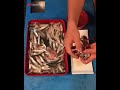 محشي ورق عنب بالسمك ذوقي وقوليلي الله يباركلك 
