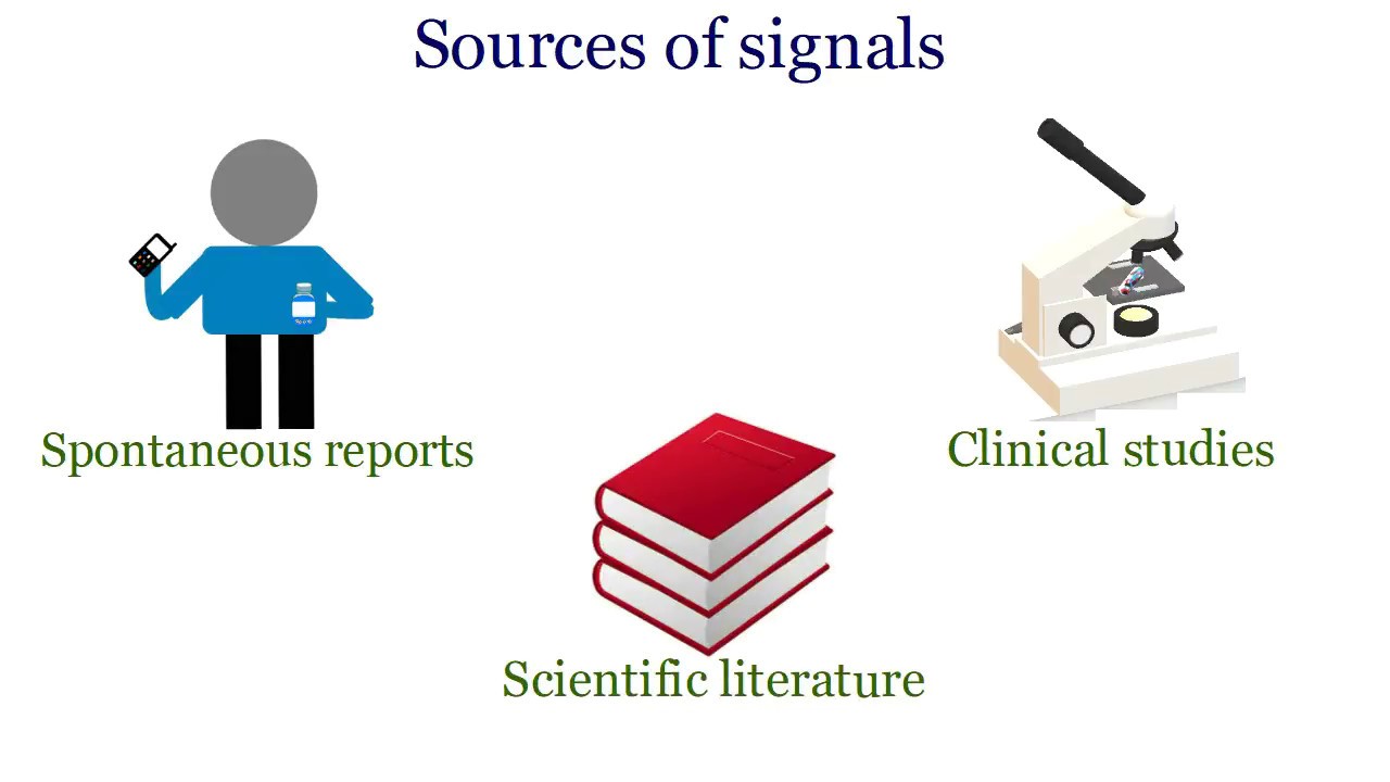 Pharmacovigilance Process Flow Chart Ppt