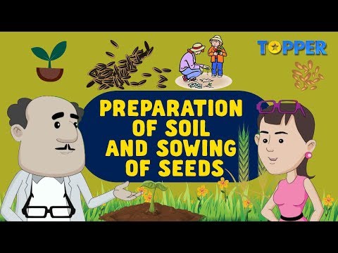 Earthworms- A Farmers Best Friend | Preparation of Soil and Sowing of Seeds | Class 8th |