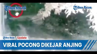 Viral Pocong Terekam Kamera CCTV Dikejar Anjing