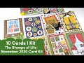 The Stamps of Life | November 2020 Card Kit | 10 Cards 1 Kit Tutorial | Brighter Days Collection