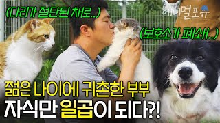 '밥 굶진 않겠지' 하고 시골로 내려온 젊은 부부, 자식만 일곱이 되다?! | KBS 단짝 230826 방송