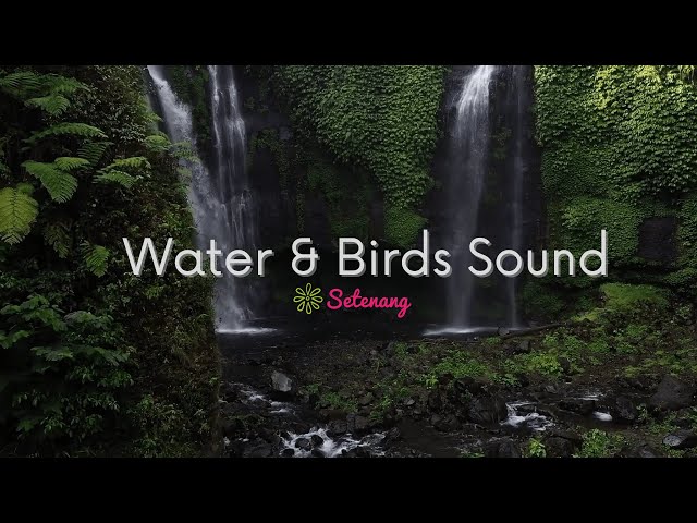 RELAXING NATURE SOUNDS: WATER SOUNDS AND BIRDS SINGING class=