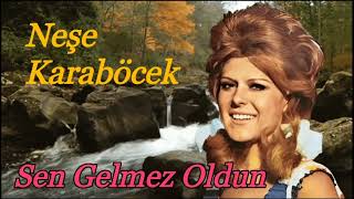 Neşe Karaböcek - Sen Gelmez Oldun Resimi