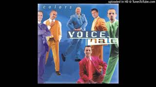 Video thumbnail of "Voice Male - Another Brick in the Wall (Acapella) HD"