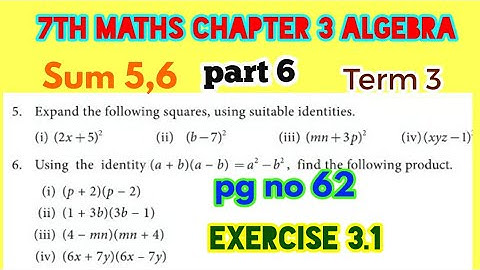 7th Maths Term 3,Chapter 3 Algebra, Exercise 3.1 Sum 5,6