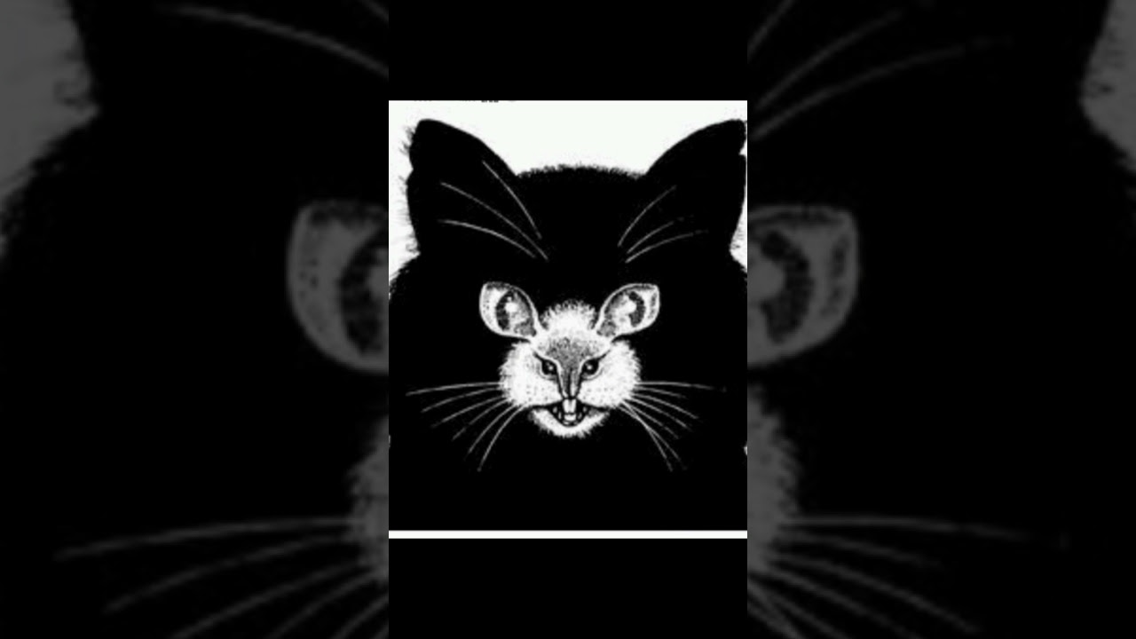 only genius can spot 🎯 the hidden rat in this optical illusion